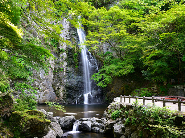 箕面大滝の写真