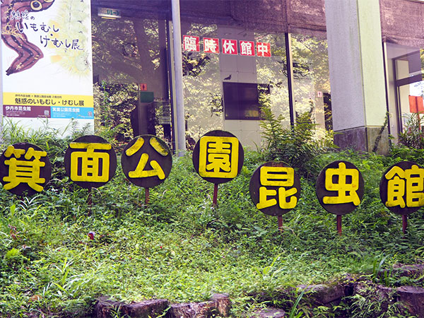 箕面公園昆虫館の写真