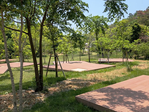 デッキサイトの写真